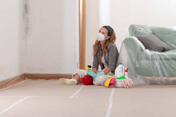 Reliable Mold Remediation contractor in Mount Arlington, NJ by WQB Mold Removal